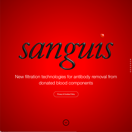 Sanguis medical technology website design