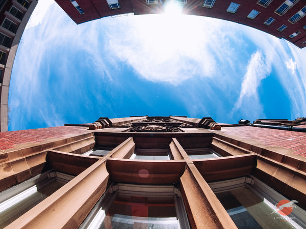 Fisheye view looking up the Clothworkers