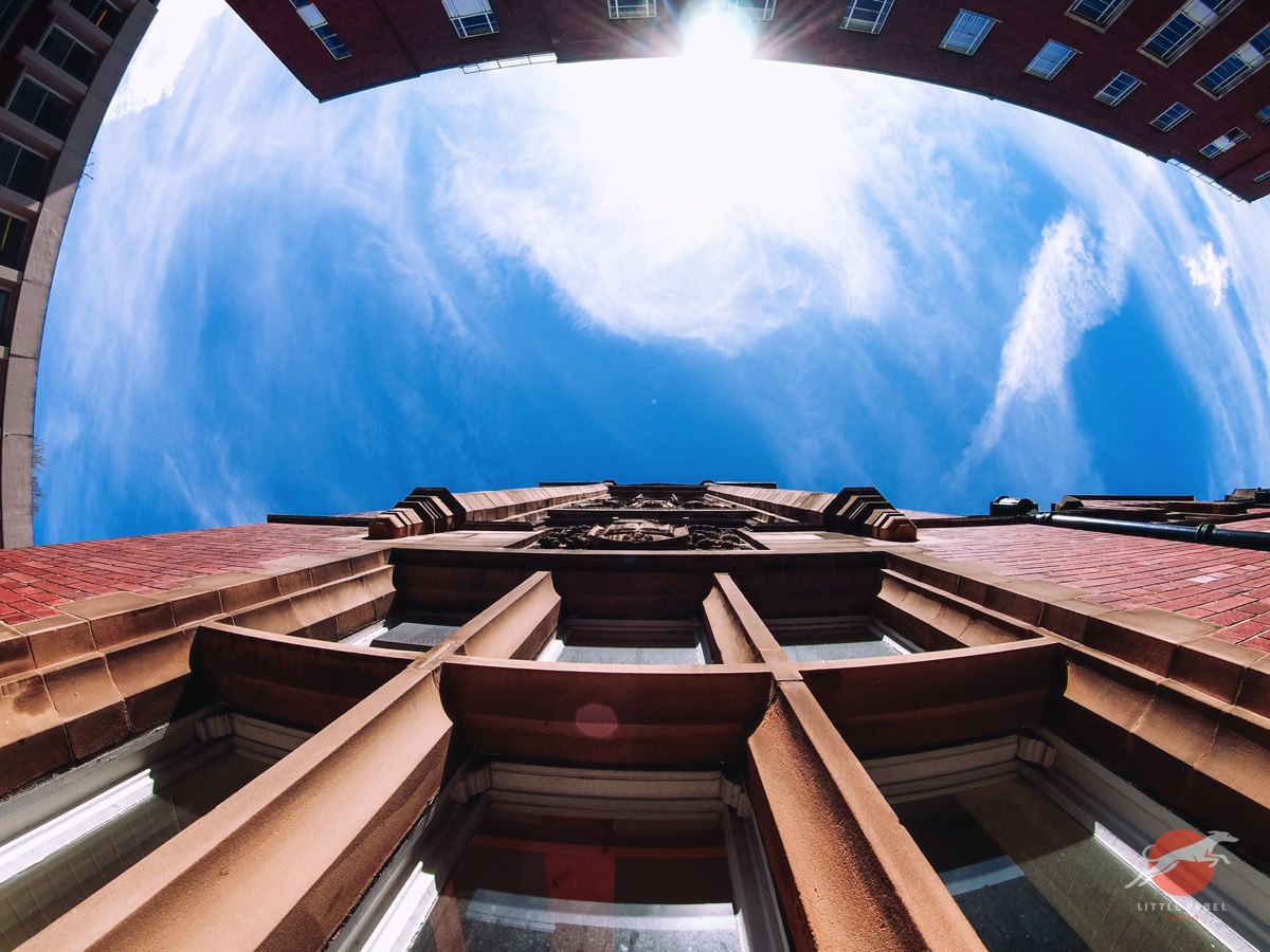 Fisheye view looking up the Clothworkers